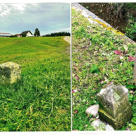 Uebernachtungsmoeglichkeit In Maierhoefen Grunenbach Εξωτερικό φωτογραφία